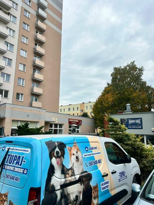 TAXI DLA ZWIERZĄT Tel 733 791 005