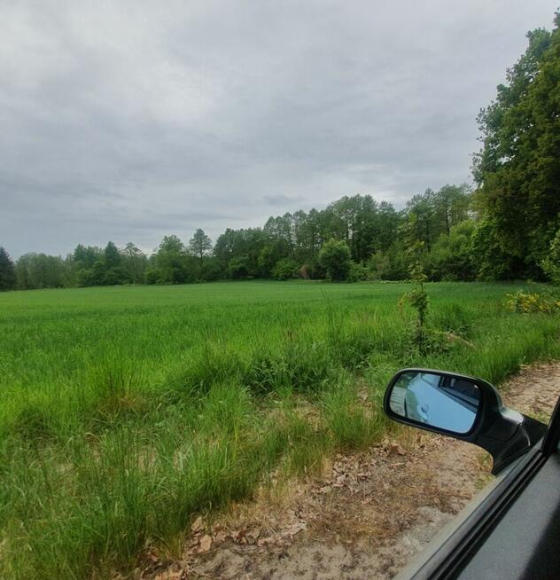 Malownicza działka nad rzeką przy starym młynie z lasem 4.8h