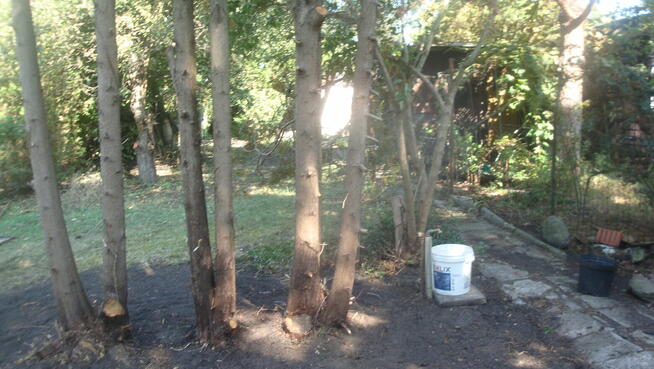 Sptzedam Działkę RODO