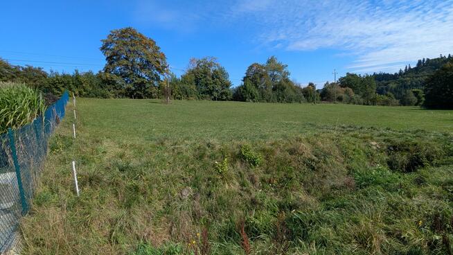 Działka budowlana Falsztyn Pieniny Podhale Góry Jezioro