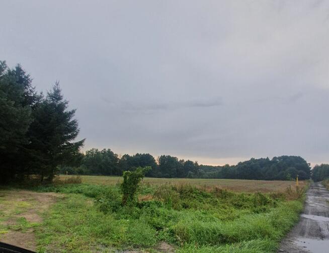 Malownicza działka nad rzeką przy starym młynie z lasem 4.8h