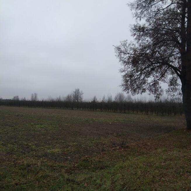 Ziemia inwestycyjna rolno/budowlana, 2,02 ha przy trasie K48