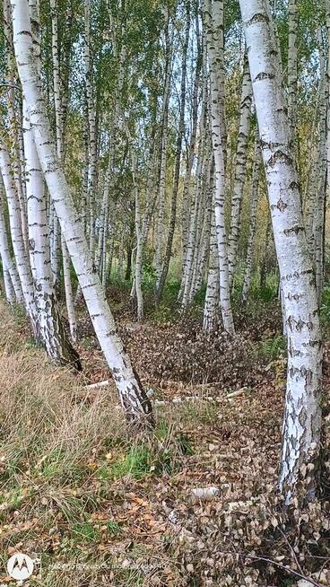 Piękna działka nad Wkrą