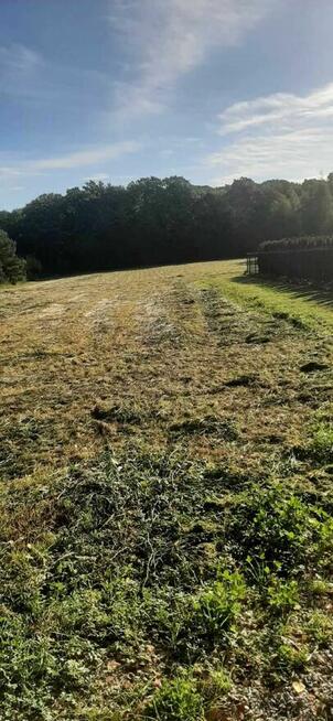 Działki budowlane JANCZOWICE / JAŹWINA / DZIERŻONIÓW widok