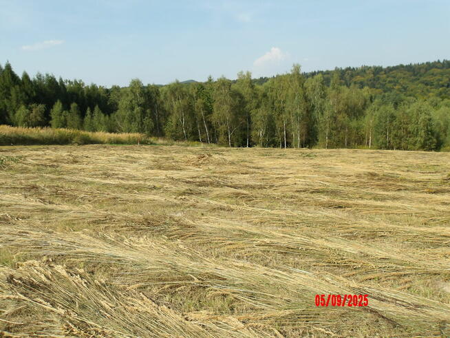 Działka budowlana w przepięknej okolicy widokowa