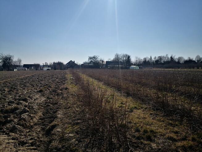 Sprzedam domek z zabudowaniami . Działka 5800m2 + las