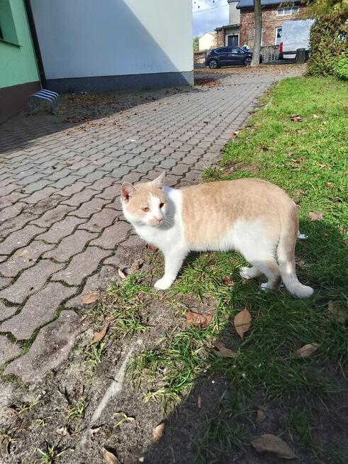 Poznam bratnią duszę ta jedyną