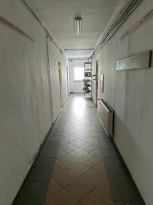 HALA 320M2 PLUS 700M2 BIURA I INNE W STREFIE MOCHÓW