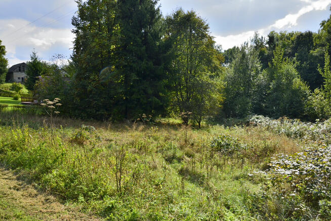 Sprzedam działkę - Kobylec, gm. Łapanów