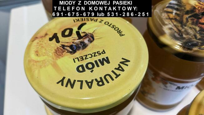 Miody z domowej pasieki