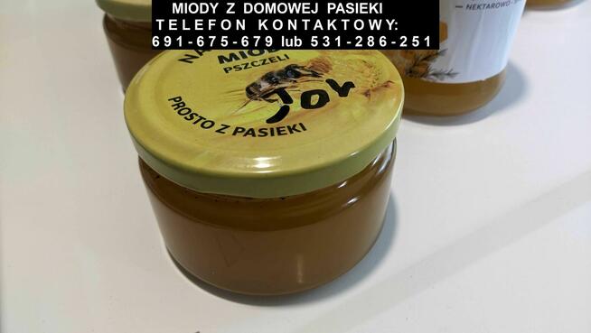 Miody z domowej pasieki