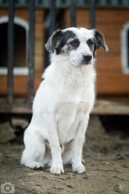 Alvin - całe życie za kratami BŁAGAMY o pomoc