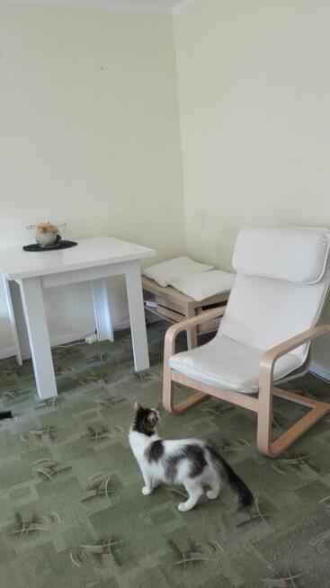 Mieszkanie dwupokojowe na trasie na lotnisko.