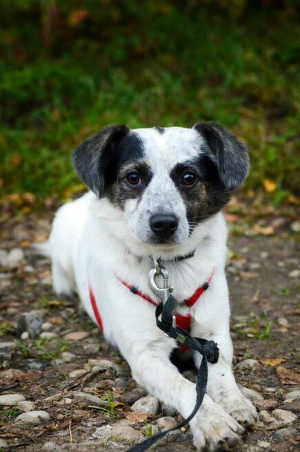 Alvin - całe życie za kratami BŁAGAMY o pomoc