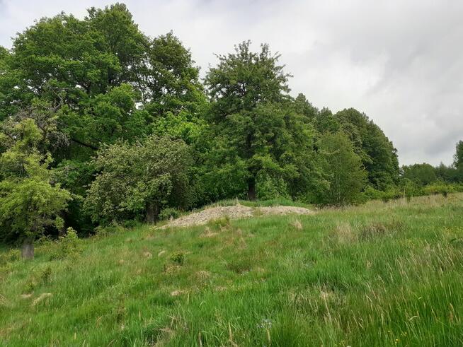 Sad z widokiem na Karkonosze