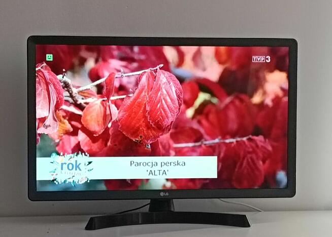 27,5 Cali TV LG LED Smart TV DVB-T2 HEVC + HDMI + Upominek