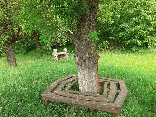 Sad z widokiem na Karkonosze