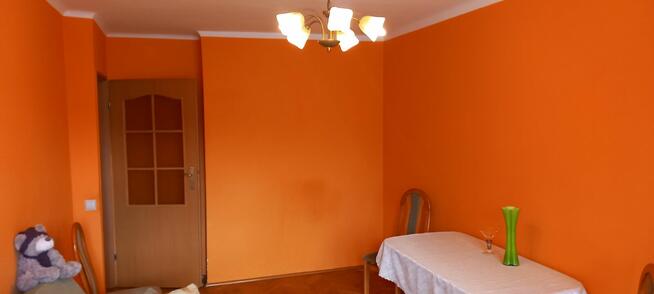 Rozkładowe mieszkanie 46,64 m2, 2 pokoje z kuchnią, cegła