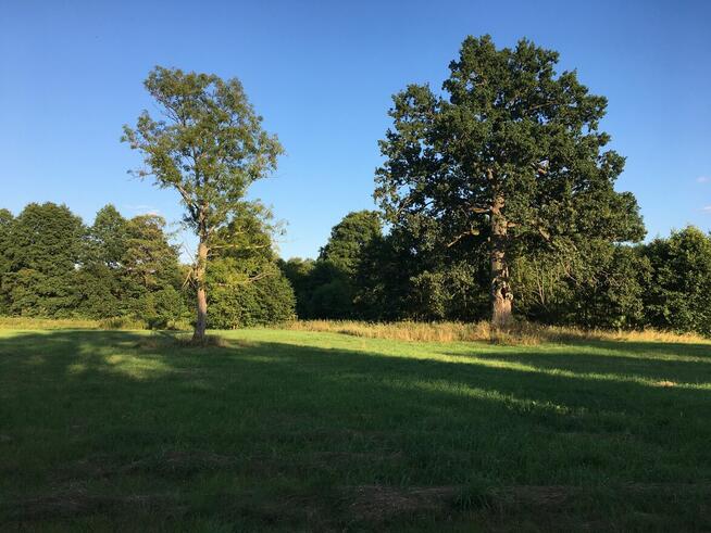 Teren budowlano/inwest. 23770m2, pod dom seniora.