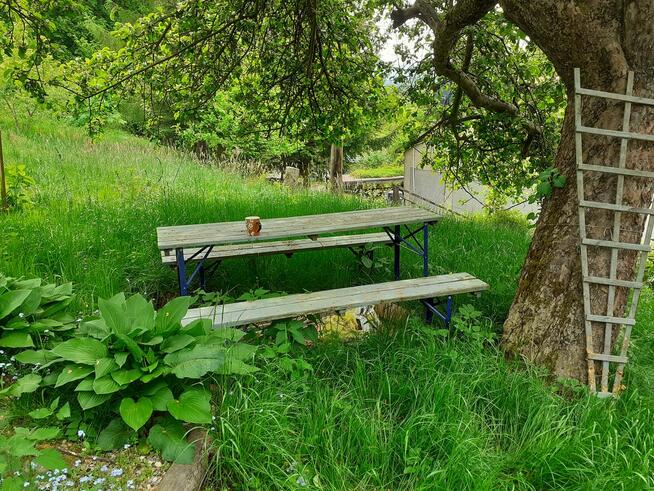 Sad z widokiem na Karkonosze