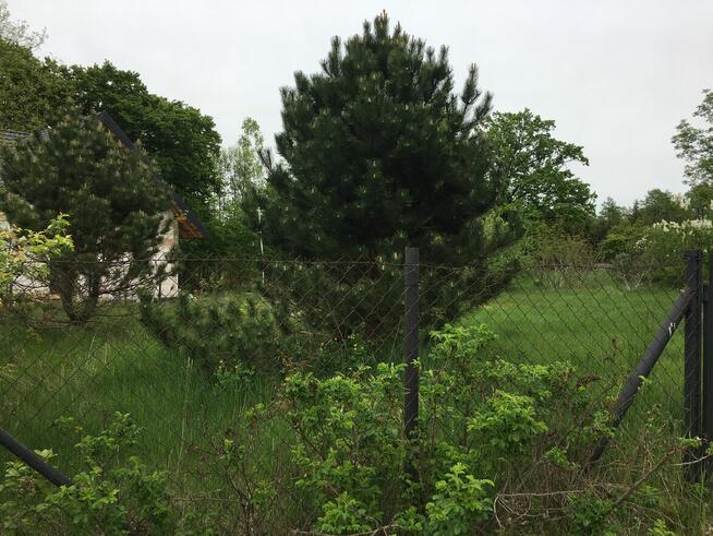 Arciechów budowlana 1220 m2.