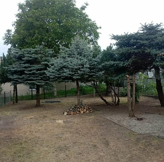 KARCZOWANIE DZIAŁEK, PRACĘ PORZĄDKOWE - NIEUŻYTKÓW itd