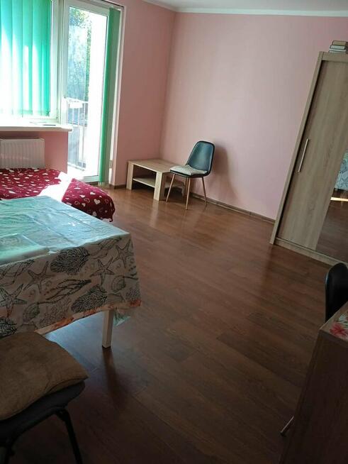 kawalerka/ lokal w centrum miasta