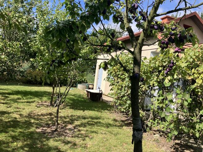 Działka rekreacyjna - Sprzedam