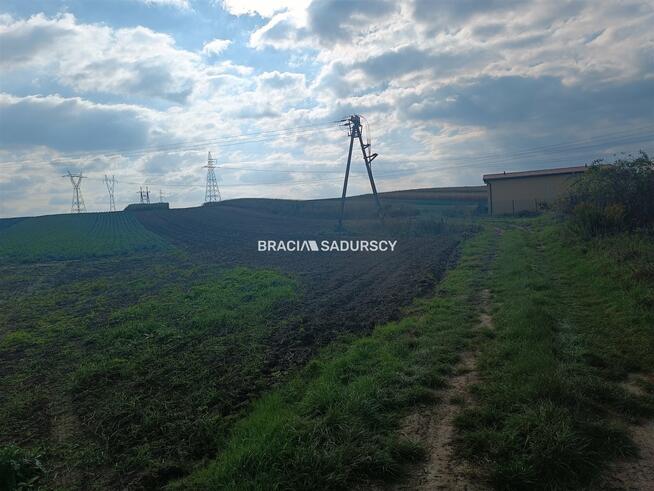 Działka rolna Proszowice