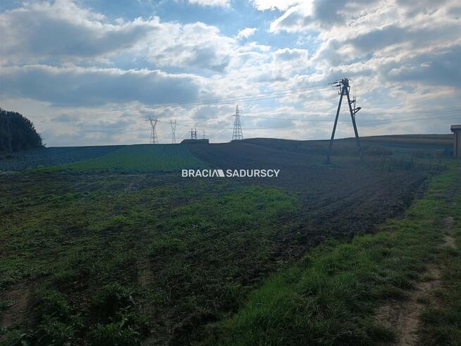 Działka rolna Proszowice