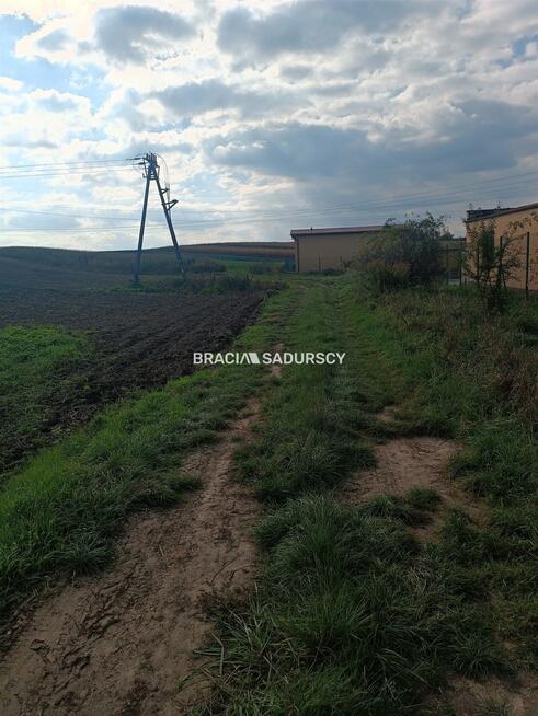 Działka rolna Proszowice