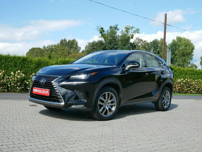 Lexus NX 300 2.0 238KM Eu6 Elegance 4x4 AWD Automat -Krajowy -1 Wł -Serwis ASO