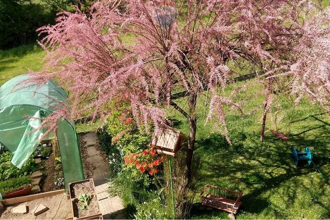 Dom w cichej okolicy