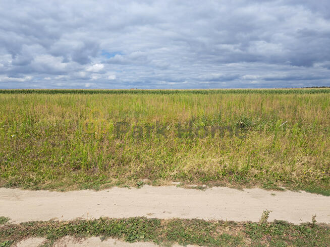 Działka budowlana Stary Lubosz gm. Kościan,