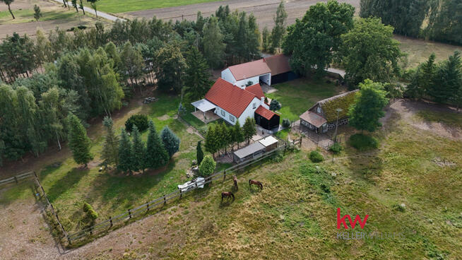 Lokal użytkowy Czarnybród gm. Grodziec,