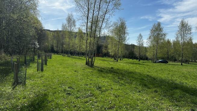 Działka rekreacyjna Nowa Wieś gm. Międzylesie