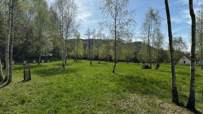 Działka rekreacyjna Nowa Wieś gm. Międzylesie