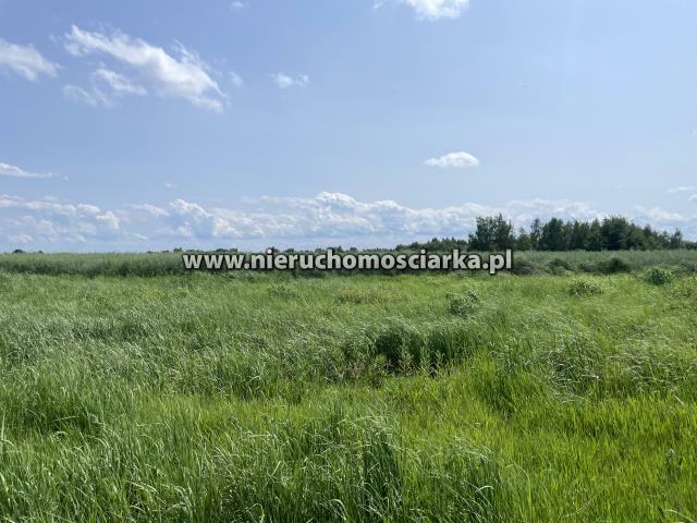 Działka budowlana Wodzisław Śląski