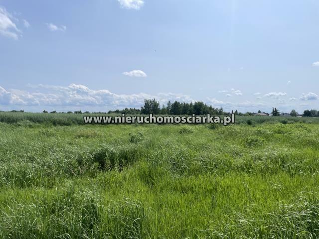 Działka budowlana Wodzisław Śląski