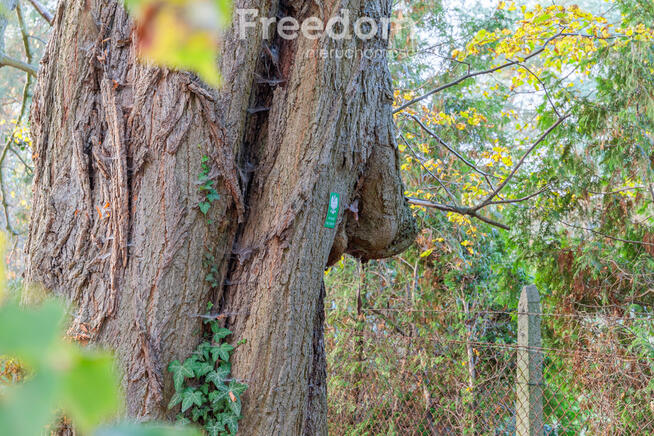 Zabytkowy Dwór z Początku XX Wieku
