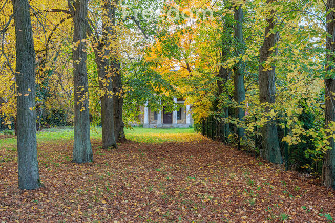 Zabytkowy Dwór z Początku XX Wieku