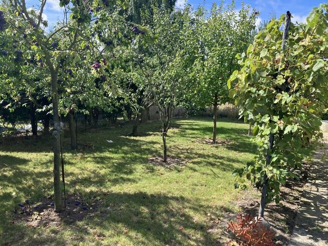 Działka rekreacyjna - Sprzedam