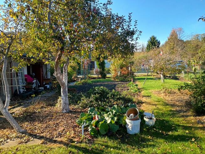 Sprzedam działkę rekreacyjną