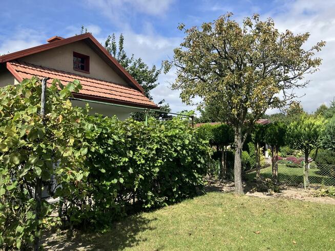 Działka rekreacyjna - Sprzedam