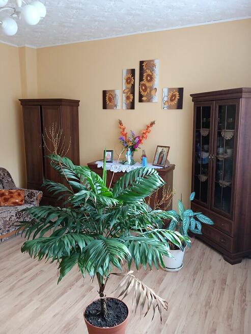 Mieszkanie 62,8m2, 3 pokoje