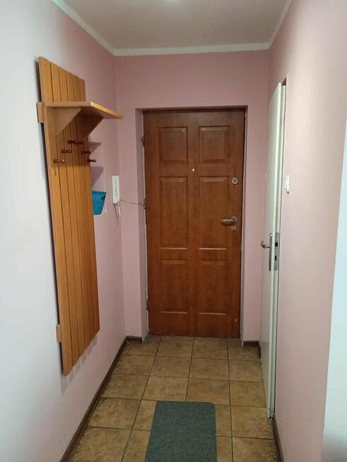 kawalerka/ lokal w centrum miasta