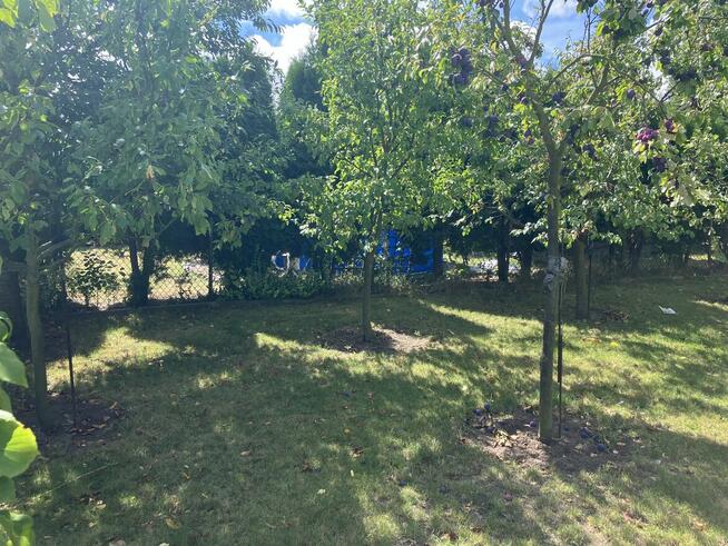 Działka rekreacyjna - Sprzedam