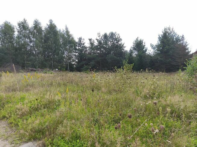 Zamieszkaj przy ul. Radosnej