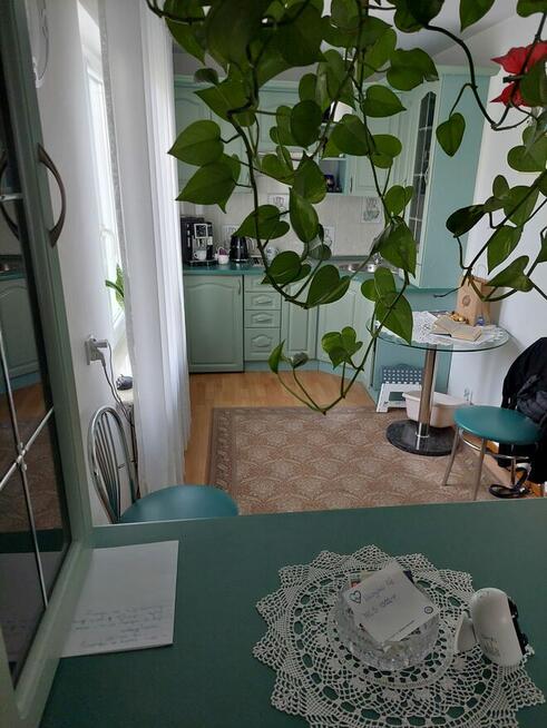 Meble kuchenne z witryną