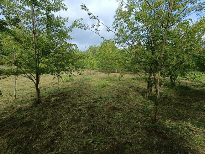 Sprzedam działkę Mielec Cyranka